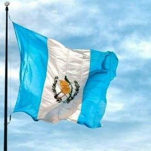 Meet your Posher, Miguel